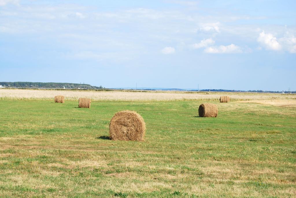Ferienwohnung Hiddensee In Вітте Екстер'єр фото