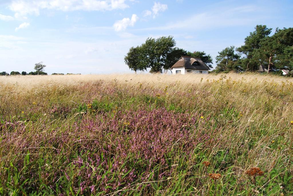 Ferienwohnung Hiddensee In Вітте Екстер'єр фото