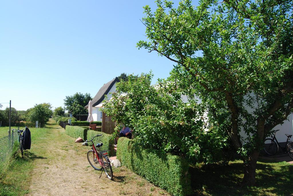 Ferienwohnung Hiddensee In Вітте Екстер'єр фото